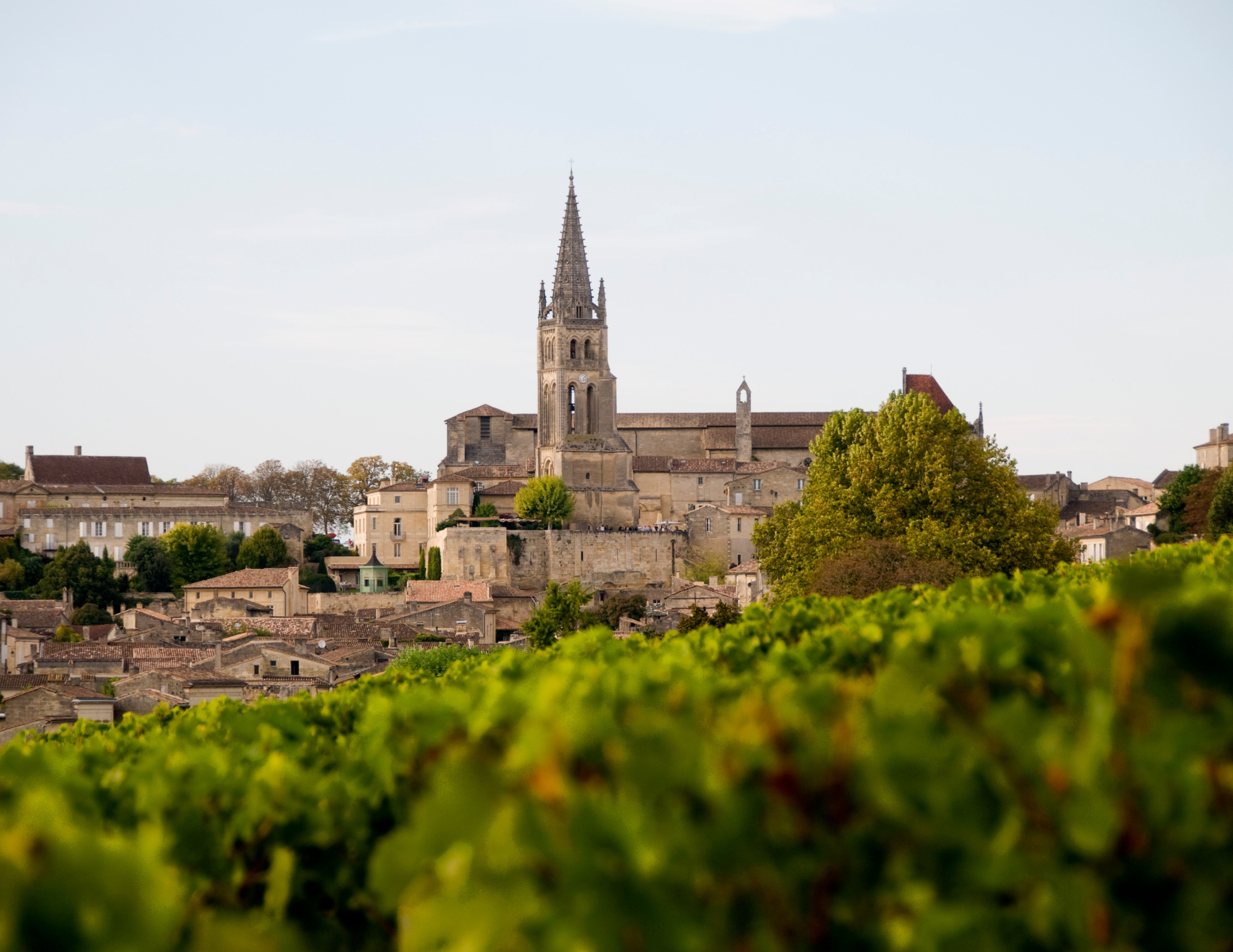 Bordeaux Travel Guide.png